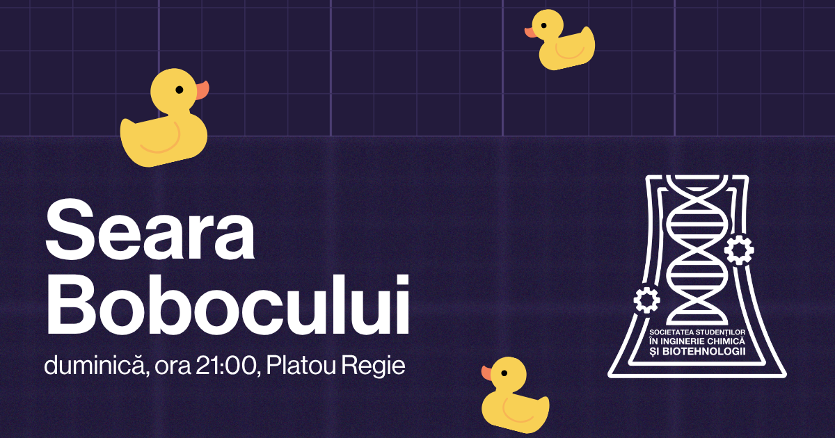 Seara Bobocului - Hai la socializare!